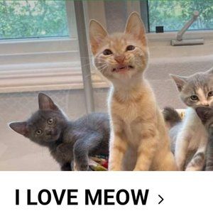 LOOK GREAT FOR LESS! MAKE OFFERS!